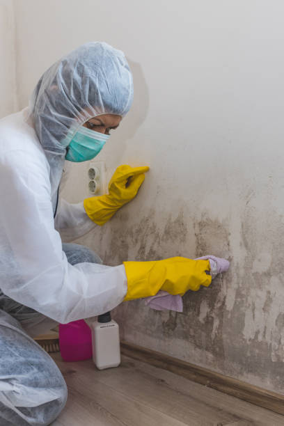 Best Forensic Mold Investigation  in Sterling, GA
