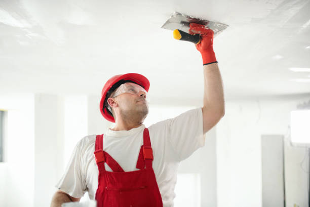Biohazard Mold Removal in Sterling, GA