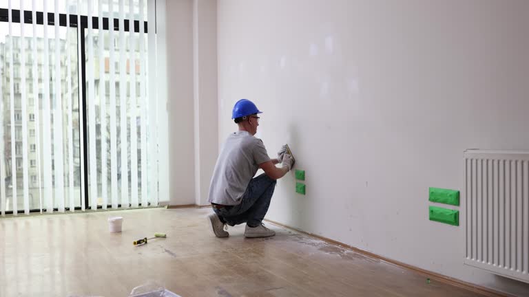 Best Basement Mold Removal  in Sterling, GA