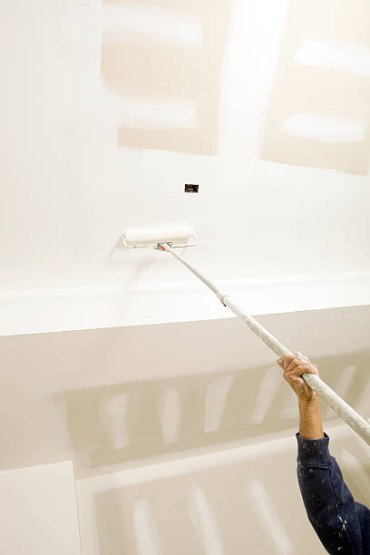 Best Residential Mold Inspection & Testing  in Sterling, GA