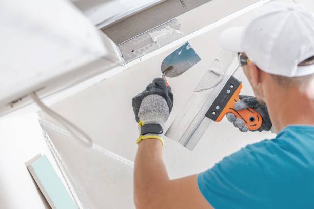Best Environmental Consulting for Mold Prevention  in Sterling, GA